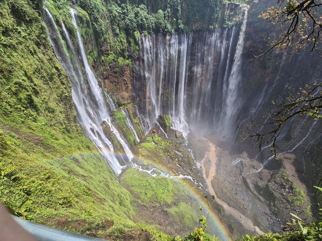 Great Nature Escape