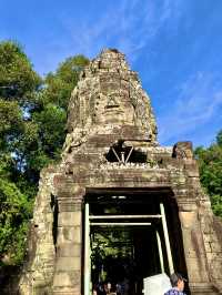 🛕タ・プローム寺院(Ta Prohm)🌀