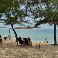 มาวาดฝัน ma.ward.fun 🌅🌊