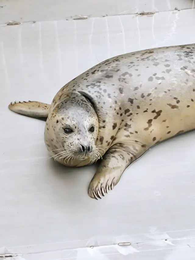 Reasons to Take Your Kids to Huaxia Xi’an Resort