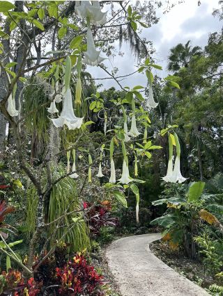 ハリー・P・ルー庭園