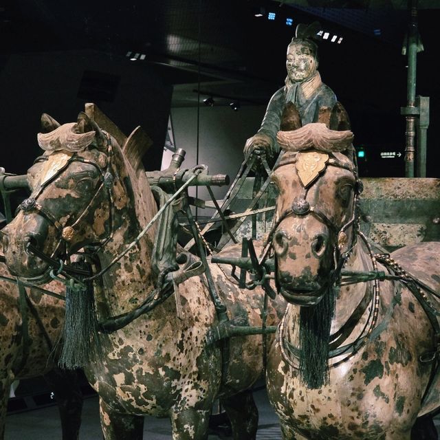 Dive into Xi’an’s Timeless Charm 🌟🏮