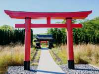 The Soloist's Urban Oasis: A Stroll Through Lauritzen Gardens