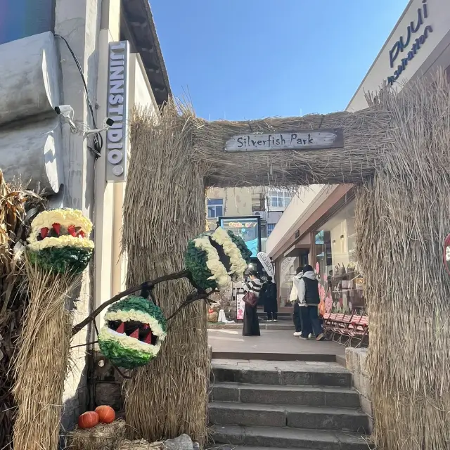 ✨Qingdao’s Hottest Instagram Spot – Yinyu Alley