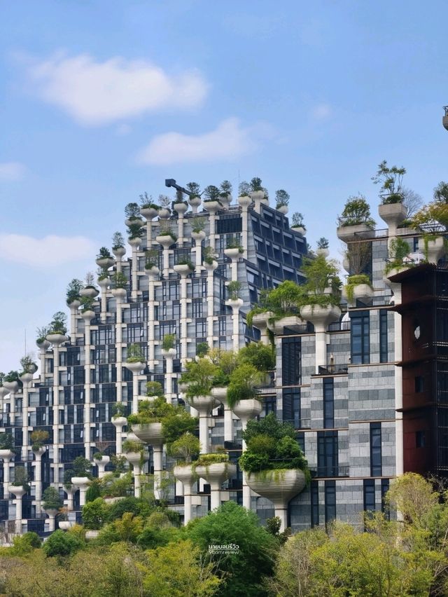 🌳⛰️ 1000 Trees 2025 แลนด์มาร์กใหม่ของเซี่ยงไฮ้ ✨ 🌳⛰️ 1000 Trees 2025 แลนด์มาร์กใหม่ของเซี่ยงไฮ้ ✨