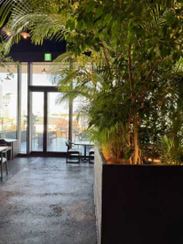 A Stylish Coffee Break at Uni, Omotesando