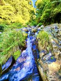 北投最夯的景點~草山觀瀑吊橋及猴崁古道走走