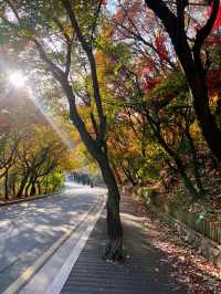 🍁아차산 산길을 걸으며