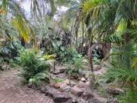 🥪Breakfast In The Garden🥪