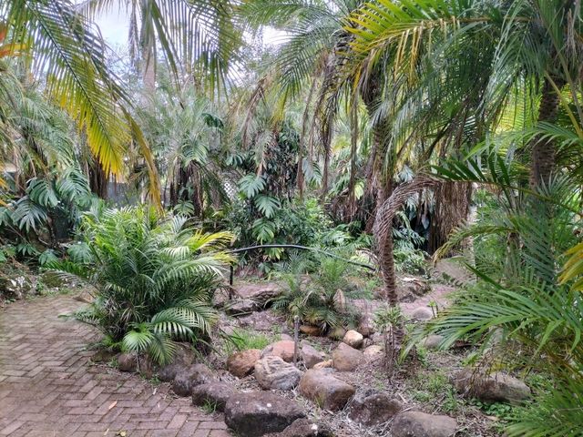 🥪Breakfast In The Garden🥪