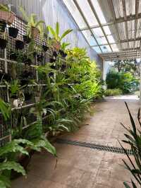 Caturra FŌG Café อ.วังสะพุง จ.เลย