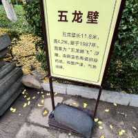 A Relaxing City Oasis — Five Dragon Pool Park