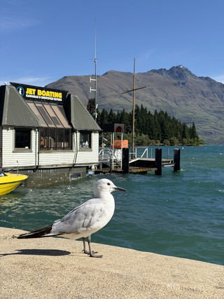 Queenstown lakeside walk