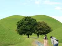 사계절 언제 가도 좋은 천년고도 경주