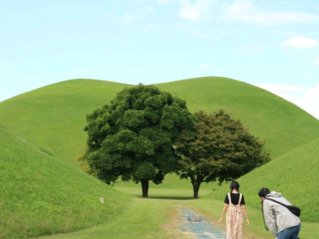 사계절 언제 가도 좋은 천년고도 경주 사계절 언제 가도 좋은 천년고도 경주