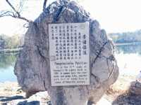 Chengde: Nature's Imperial Canvas