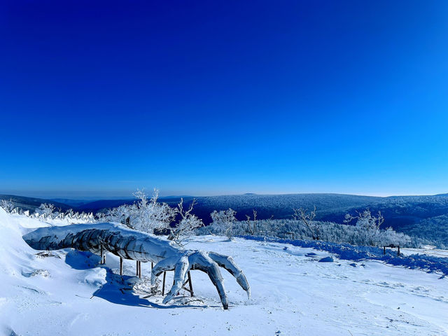 Winter Dreamland in Datudingzi Mountain ❄️🧊☃️♥️ Winter Dreamland in Datudingzi Mountain ❄️🧊☃️♥️