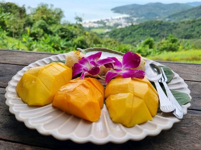 Phuket Vibe Check: Sipping Coconut & Chillin’ at Surin Beach Viewpoint 🥭🌴
