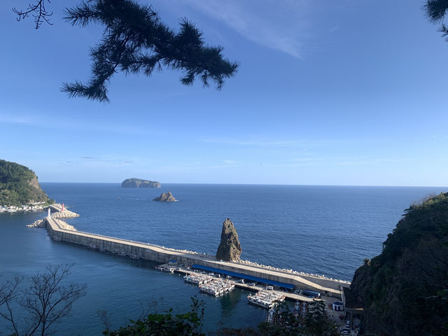 Blue Bridge Magic🌊 Blue Bridge Magic🌊