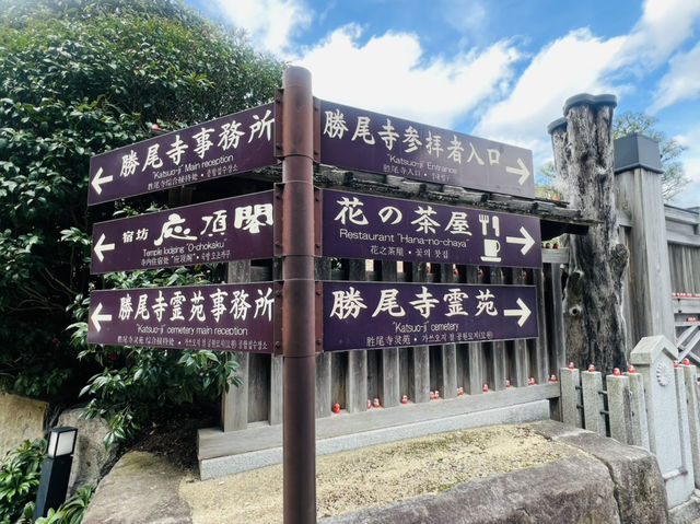 勝尾寺 応頂山 勝尾寺 勝尾寺 応頂山 勝尾寺