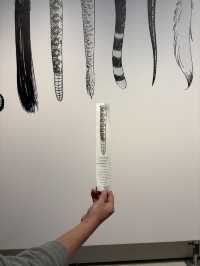 AIRSIDE物種共融藝術體驗🤟🏻開啟平等共存新視野👀