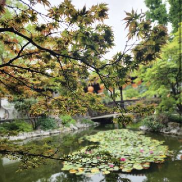 Lan Su Chinese Garden