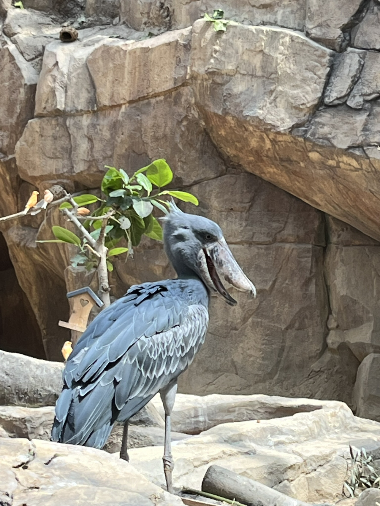 From aquarium to amusement park, all in one! Sacheon Arimaru Aquarium