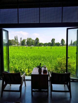 🌾 Time Wilderness | Chengdu's Dreamy Countryside Escape