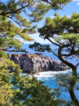 Izu Peninsula Travel Guide 2026: Top Attractions, Things to do