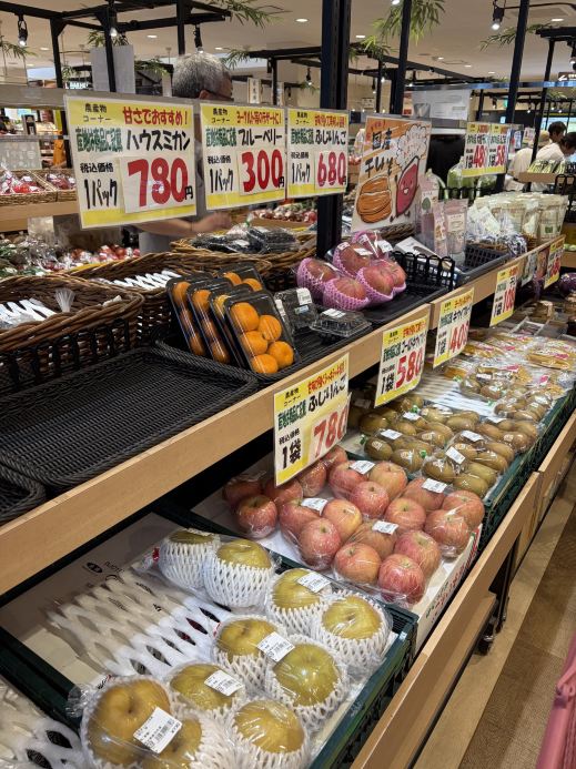 Stopping by Michi-no-Eki 