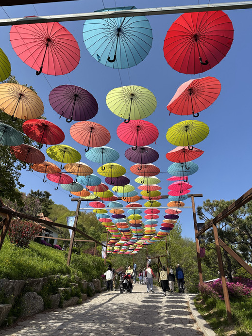 2 Epic Day Trips from Seoul: Pocheon Sonjeong Lake & The DMZ