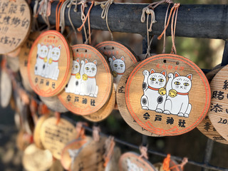 🐱💕 今戶神社參拜|被滿滿貓咪元素包圍的療癒神社⛩️✨