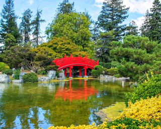 🌺 A Little Piece of Japan in the Desert: The Enchanting Japanese Friendship Garden of Phoenix