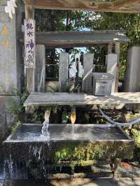 【熊本県・阿蘇】 2000年の歴史を誇る、阿蘇の総鎮守