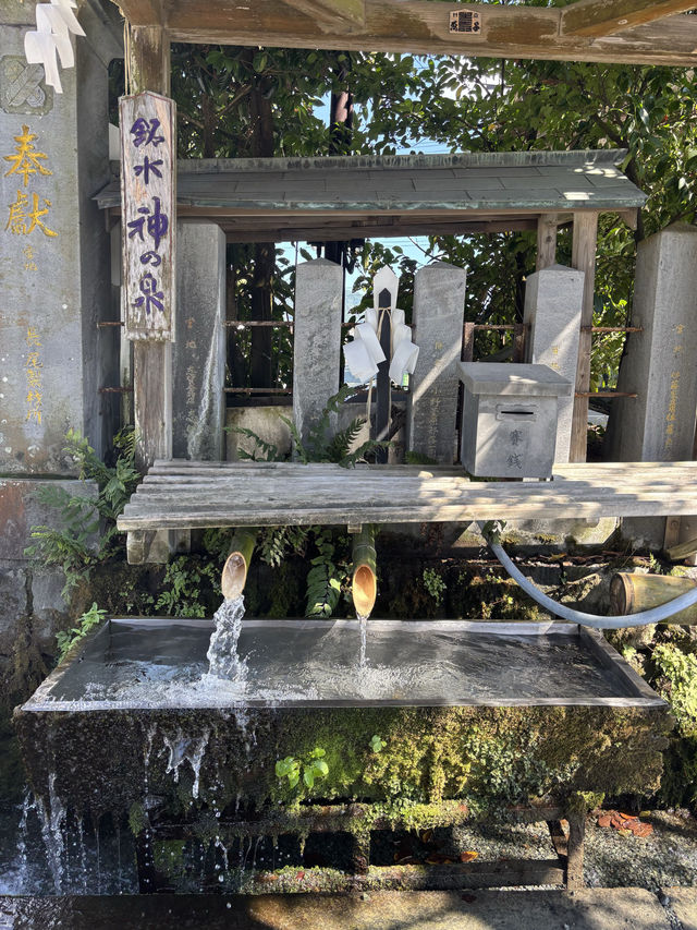 【熊本県・阿蘇】 2000年の歴史を誇る、阿蘇の総鎮守