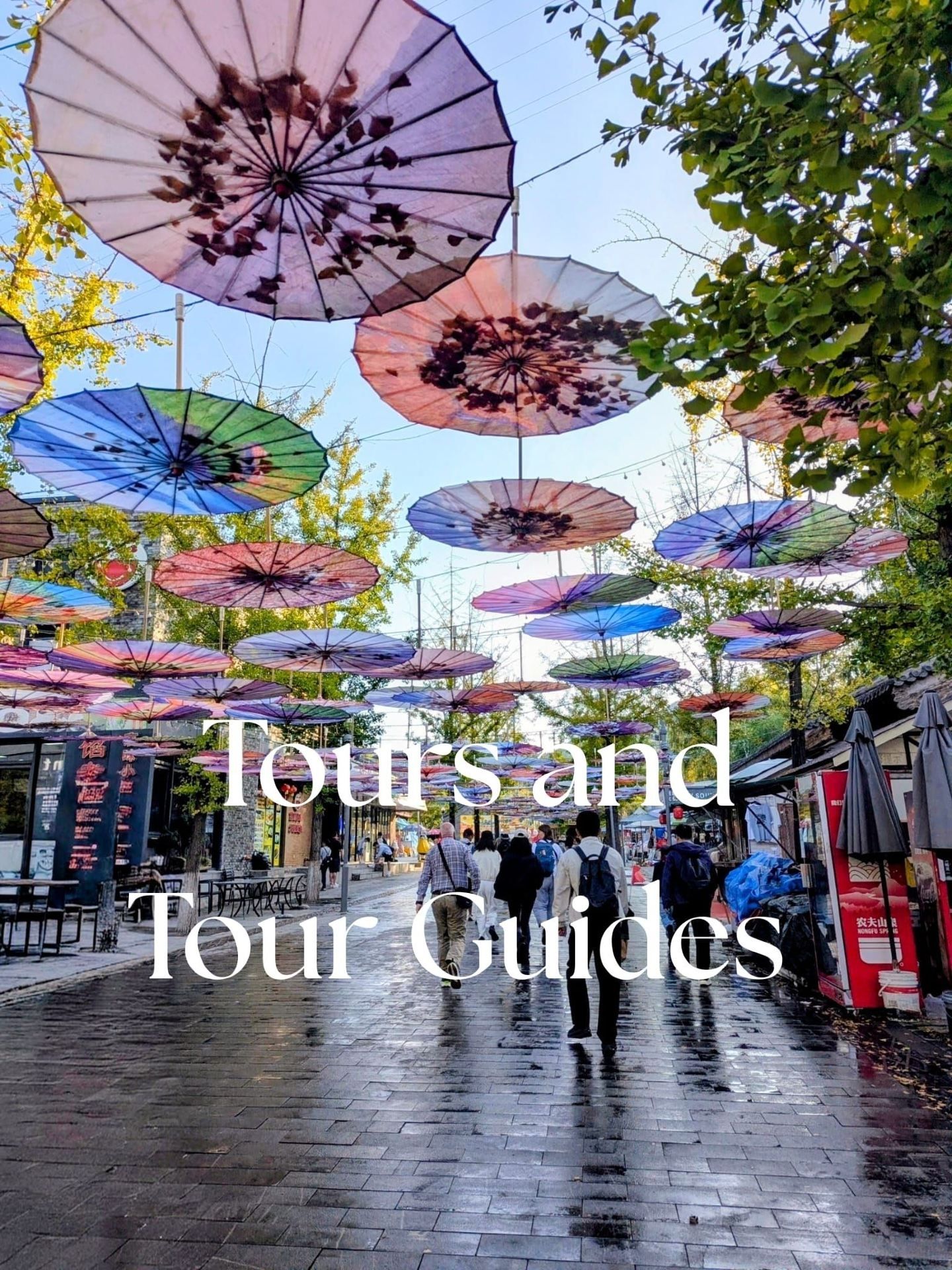 What are the advantages and disadvantages of booking a tour or joining a guided group?