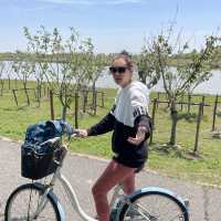 Chongming Island - Dongtan Wetland park 