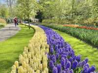The Most Beautiful Spring Garden in the World