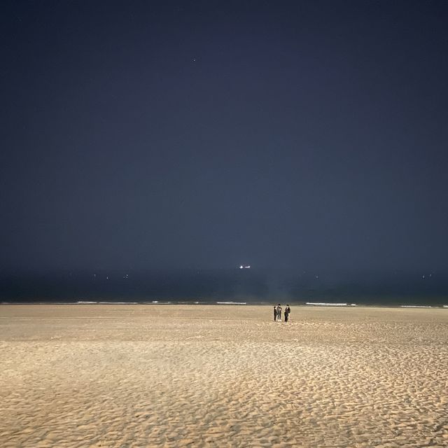 대전에서 가까운 바다, 보령 대천 해수욕장 주말여행