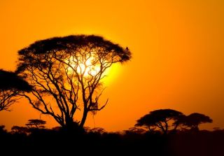  2-Day 1-Night Tanzania Safari Tour Package to Tarangire National Park and Ngorongoro Crater