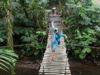 Chasing Waterfalls: Ngardmau, Palau