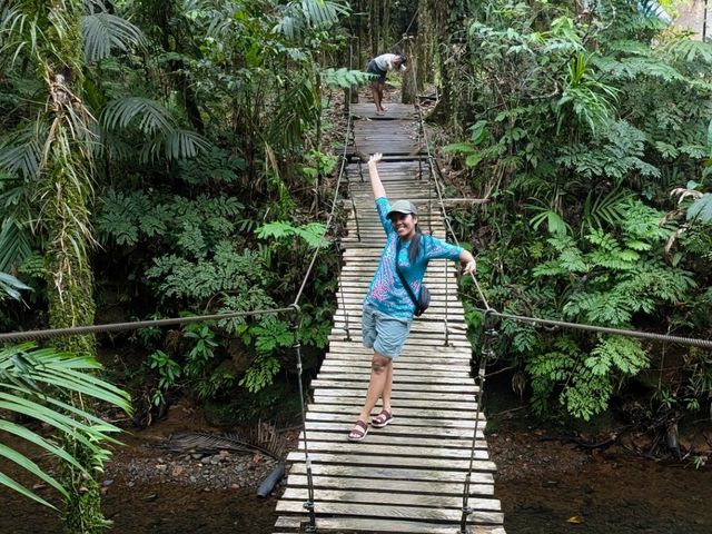 Chasing Waterfalls: Ngardmau, Palau