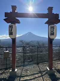 登天上山公園排隊打韆鞦💜嘆無敵富士山美景🗻