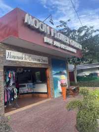 Christmas delight on Camiguin Island