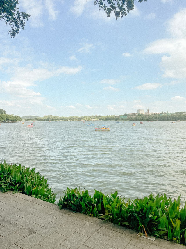 Peaceful Afternoon at Xuanwu Lake 🌿✨