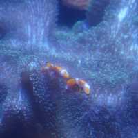 🌊屏東海生館:海洋生物的展示與教育中心🐠