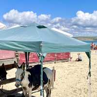 美麗的沙灘及海港 Weymouth Beach, Dorset