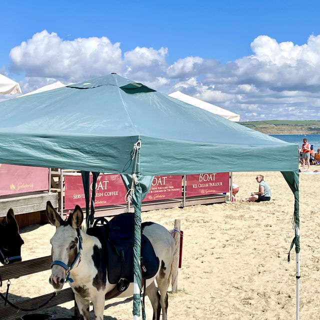 美麗的沙灘及海港 Weymouth Beach, Dorset