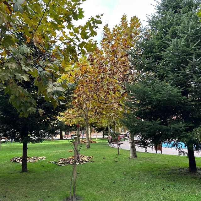 Autumn in Romania be like ❤️