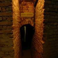 Underground Tourist Route "Rzeszowskie Cellars" 